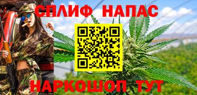 не бодяженный Ставрополь
