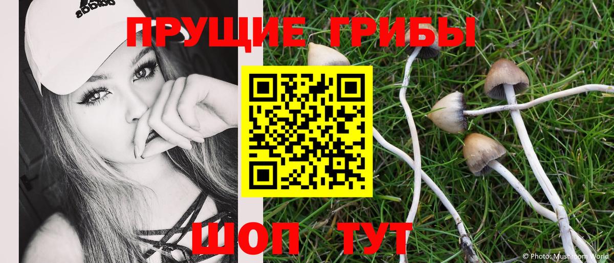 Псилоцибиновые грибы Psilocybe  Псилоцибиновые грибы Cubensis  Аша  Вход с VPN 