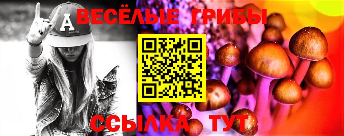 Галлюциногенные грибы Cubensis Аша